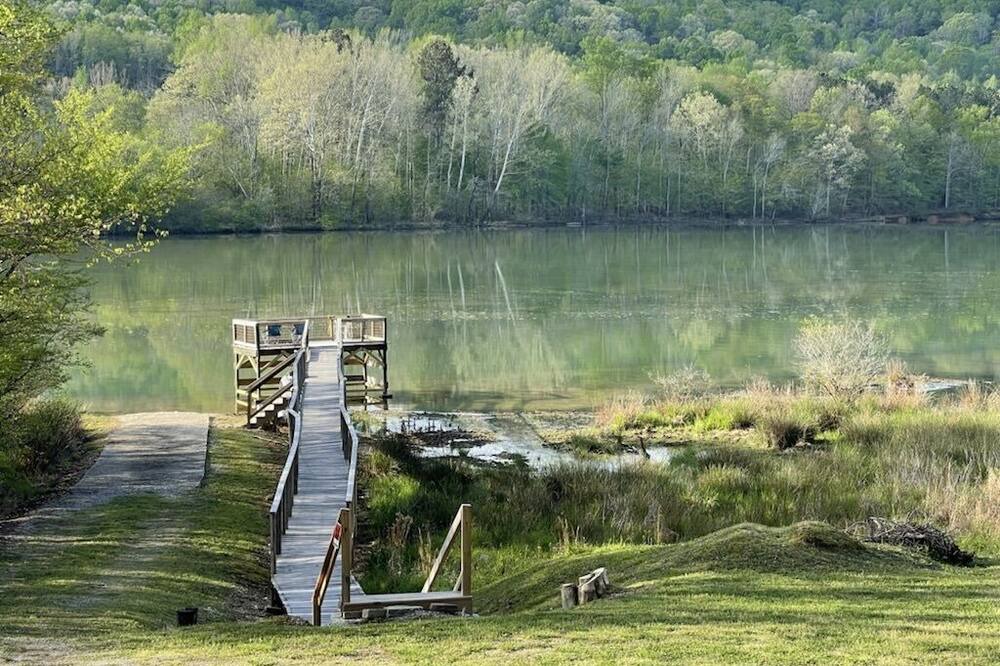 Photo of Others in Cedar Bluff