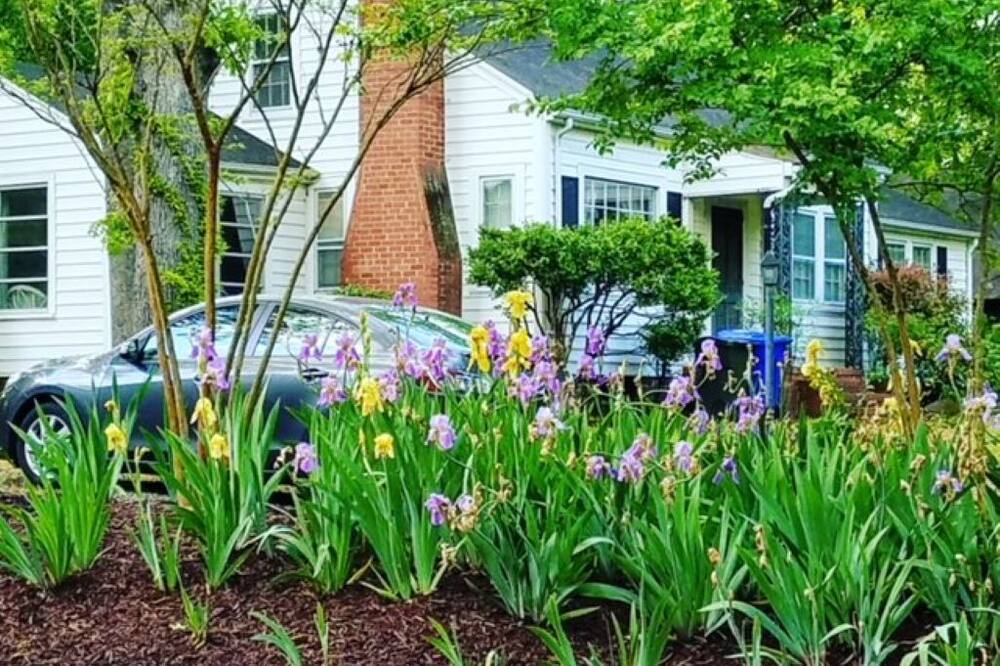 Photo of Others in Chapel Hill