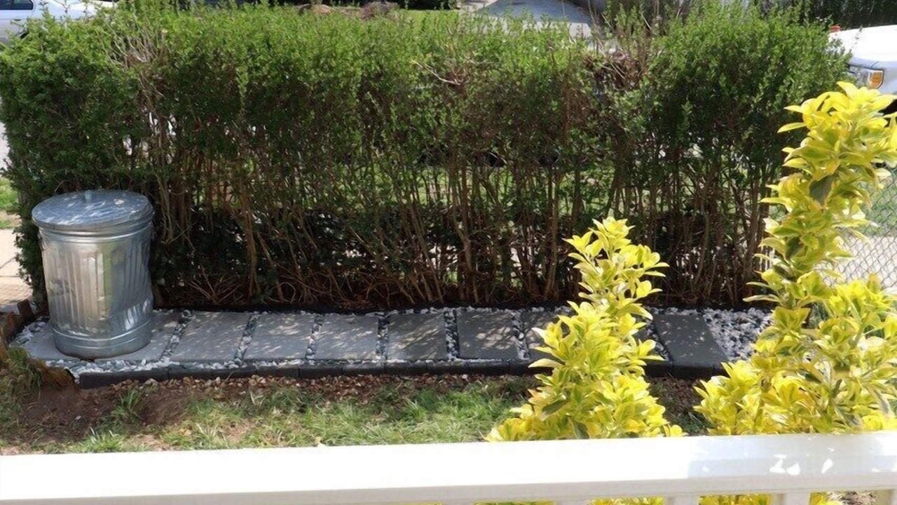 Photo of Outdoor in Towson