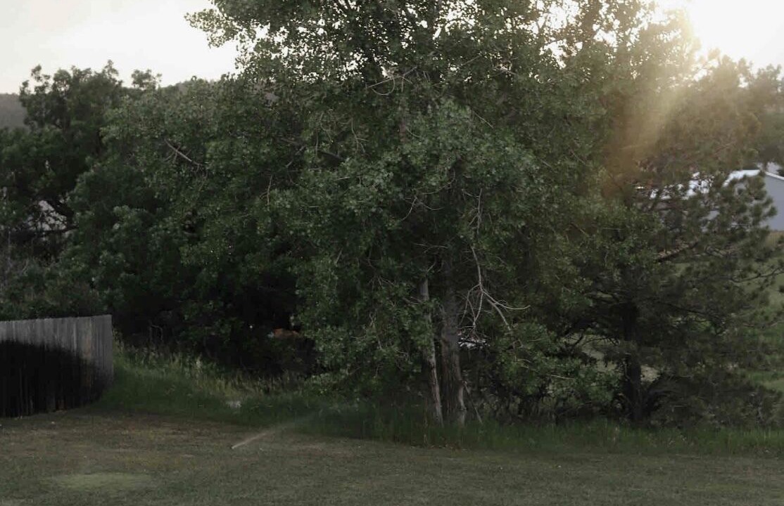 Photo of Outdoor in Rapid City