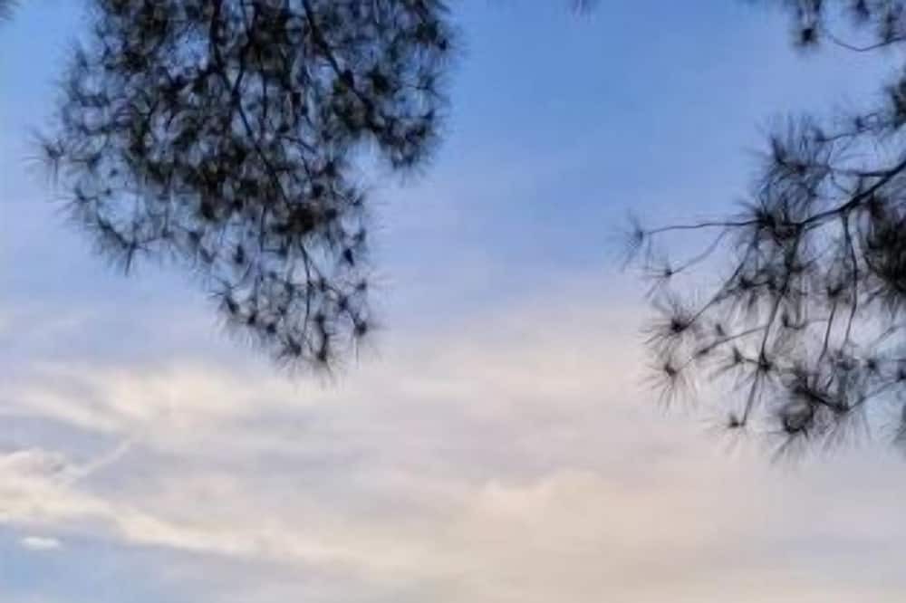 Photo of Outdoor in Spring Lake