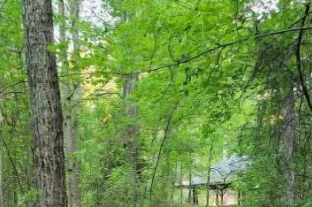 Photo of Outdoor in Spring Lake