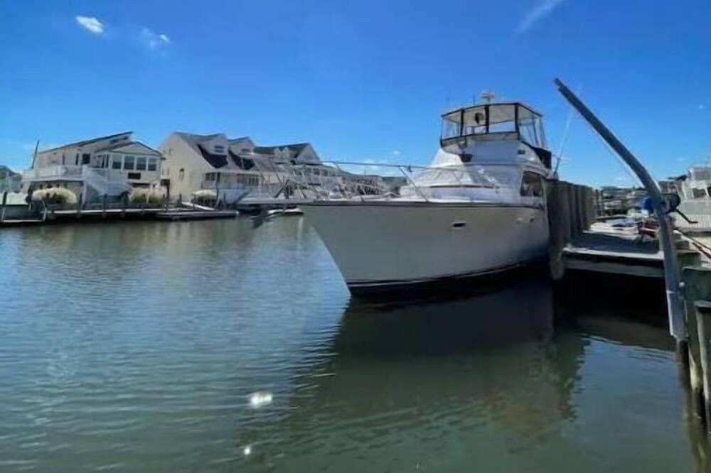 Photo of Others in Little Egg Harbor