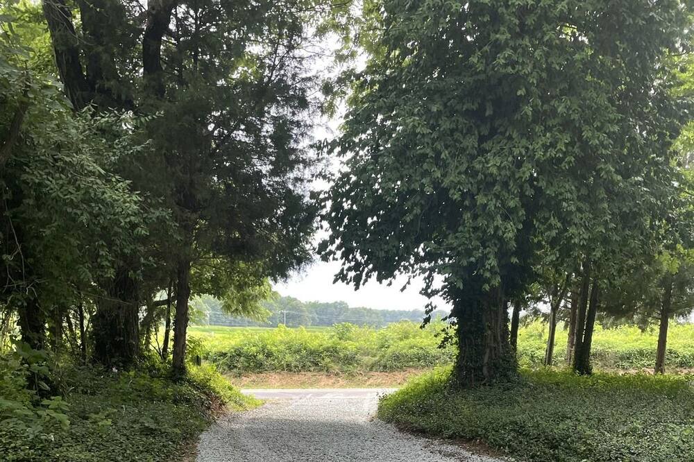 Photo of Outdoor in Chestertown
