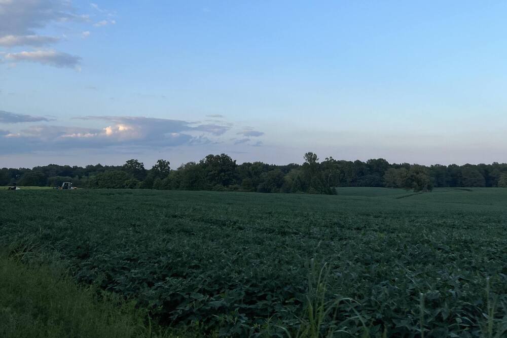 Photo of Others in Livingston