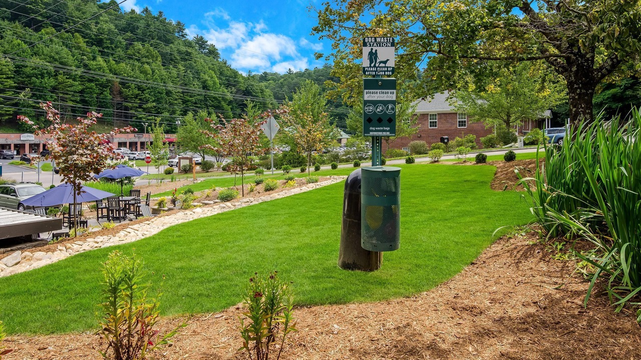 Photo of Others in Boone