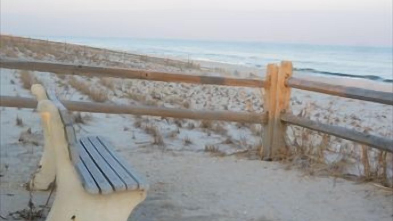 Photo of Others in Surf City