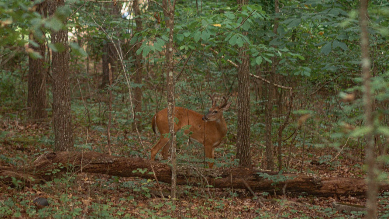 Photo of Outdoor in Mountain Park