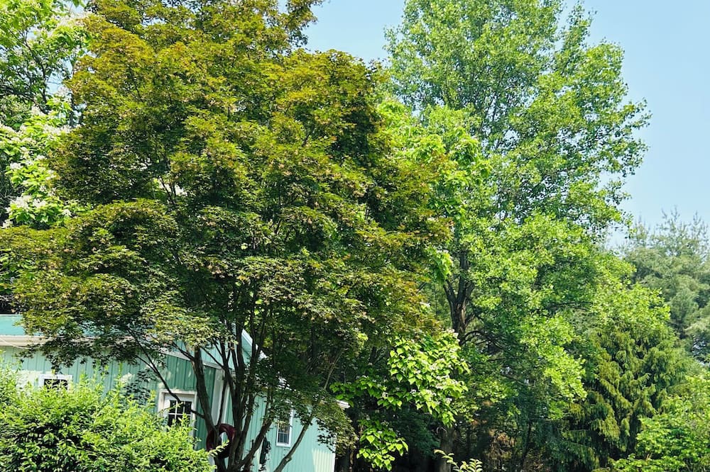 Photo of Outdoor in Millers