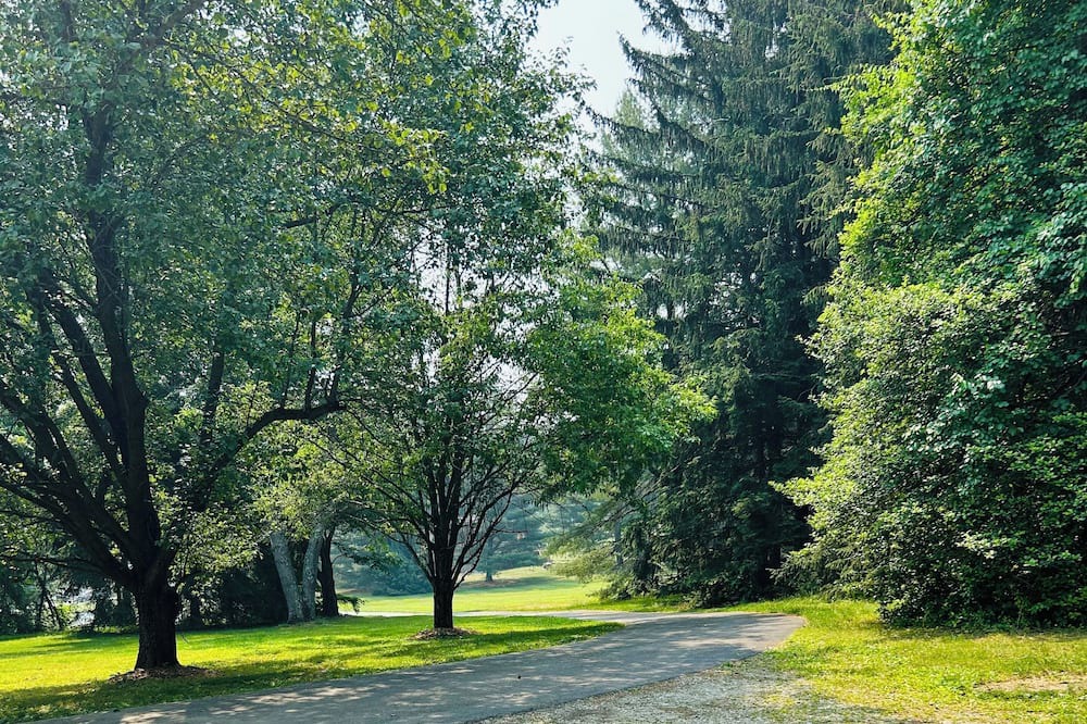 Photo of Outdoor in Millers