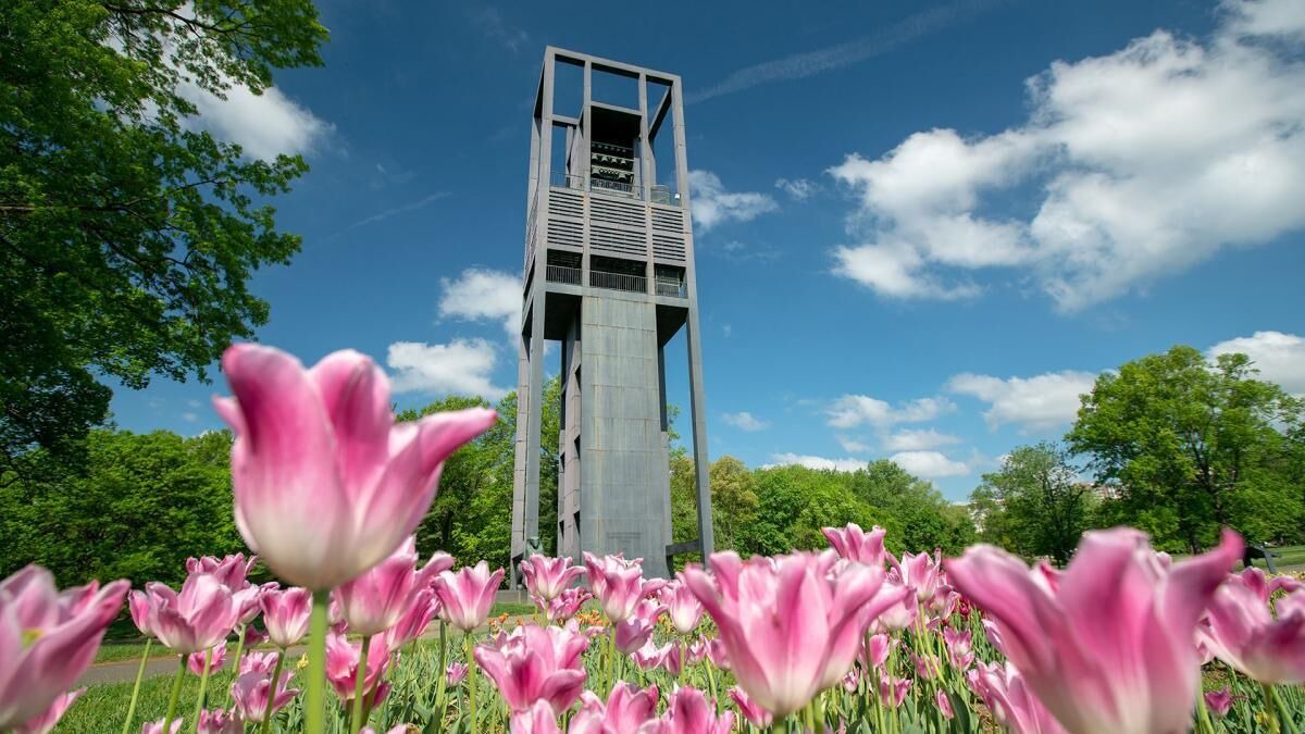 Photo of Outdoor in Radnor - Fort Myer Heights