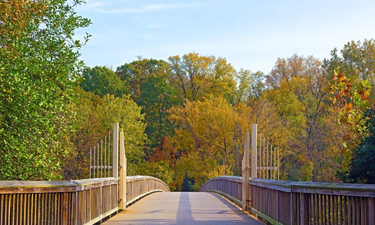 Photo of Outdoor in Radnor - Fort Myer Heights