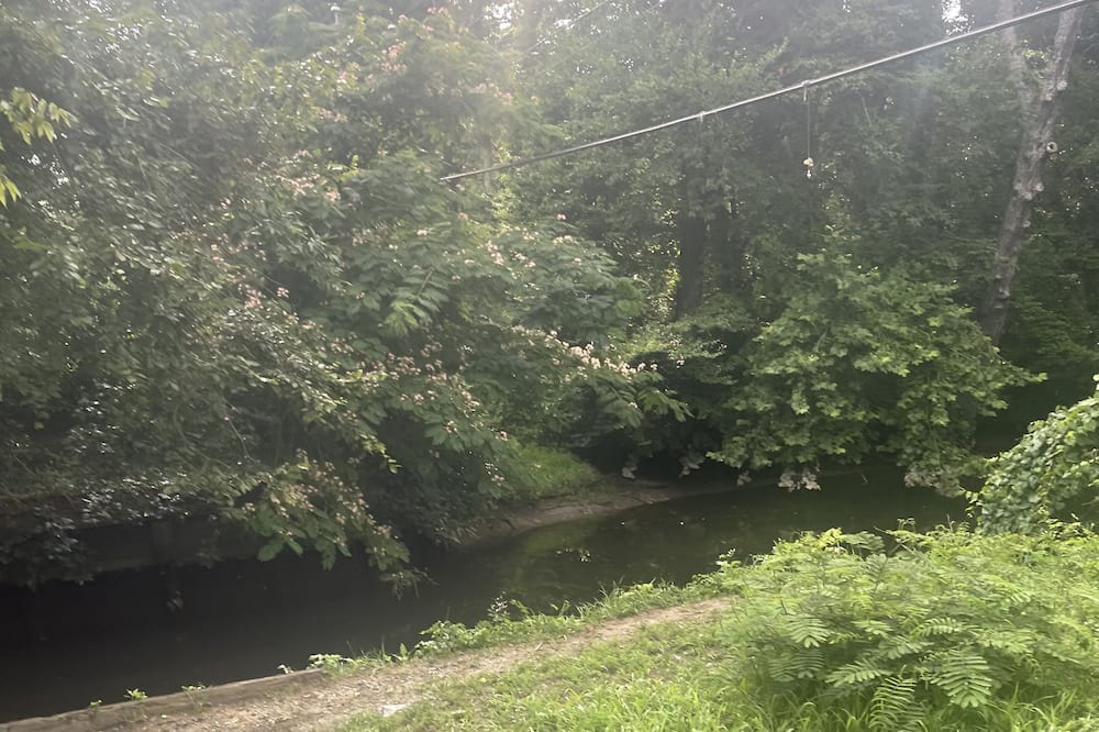 Photo of Outdoor in Golts
