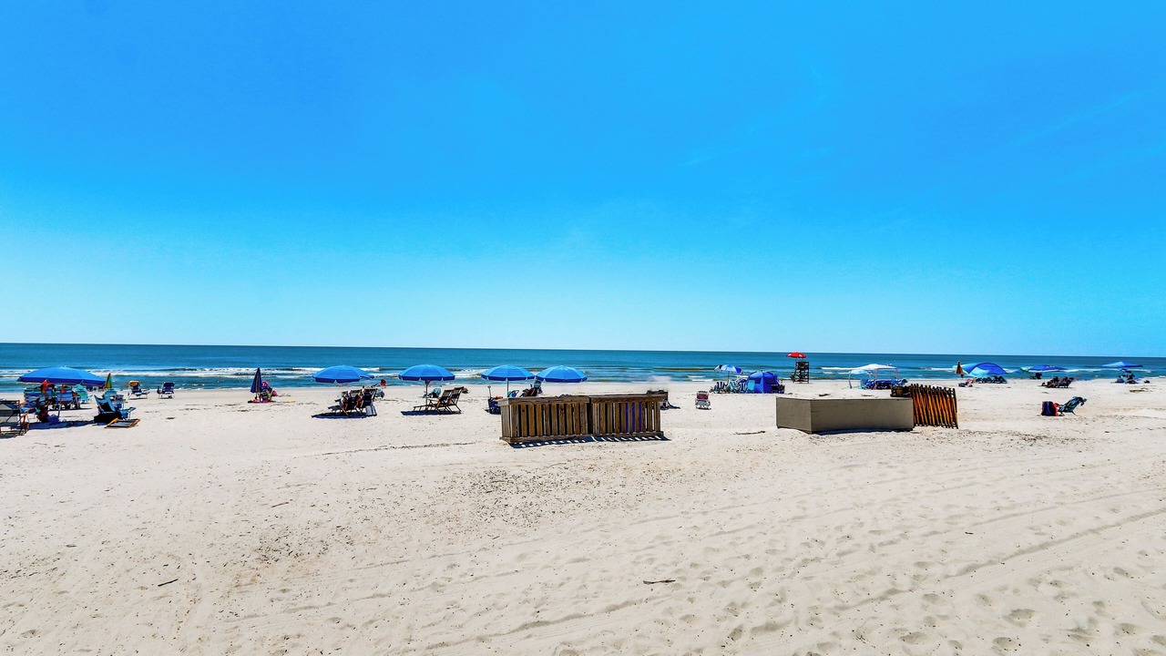 Photo of Others in Palmetto Dunes