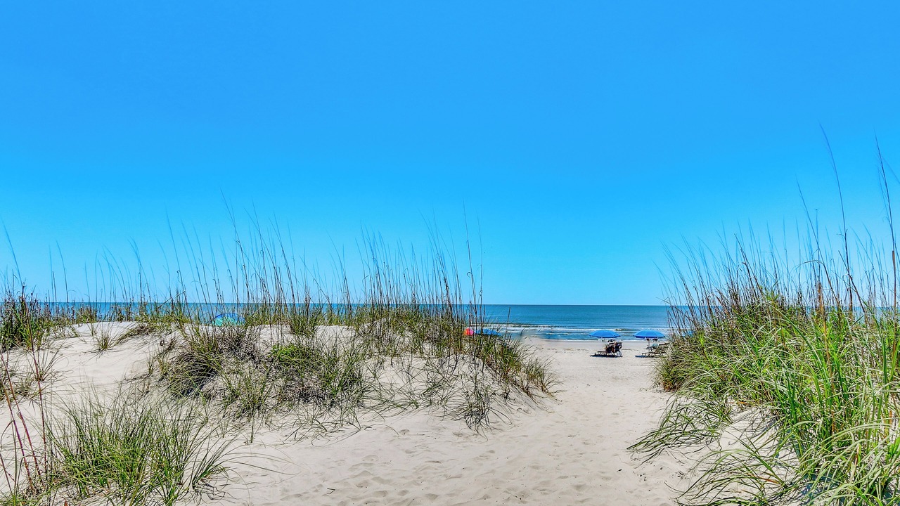 Photo of Others in Palmetto Dunes