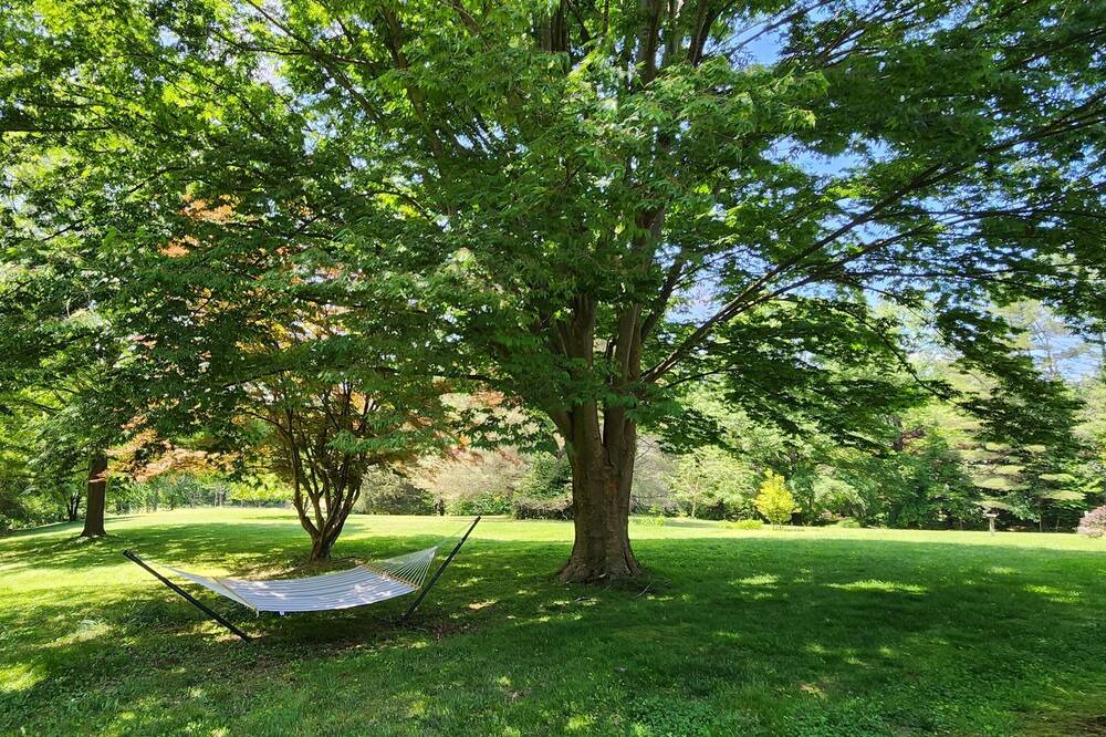 Photo of Outdoor in Carrolltowne