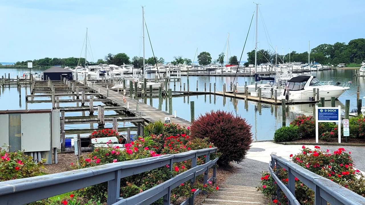 Photo of Outdoor in Great Oak Landing