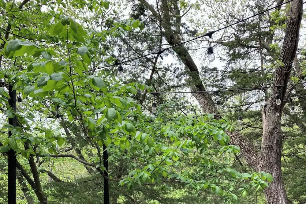 Photo of Outdoor in Fort Calhoun