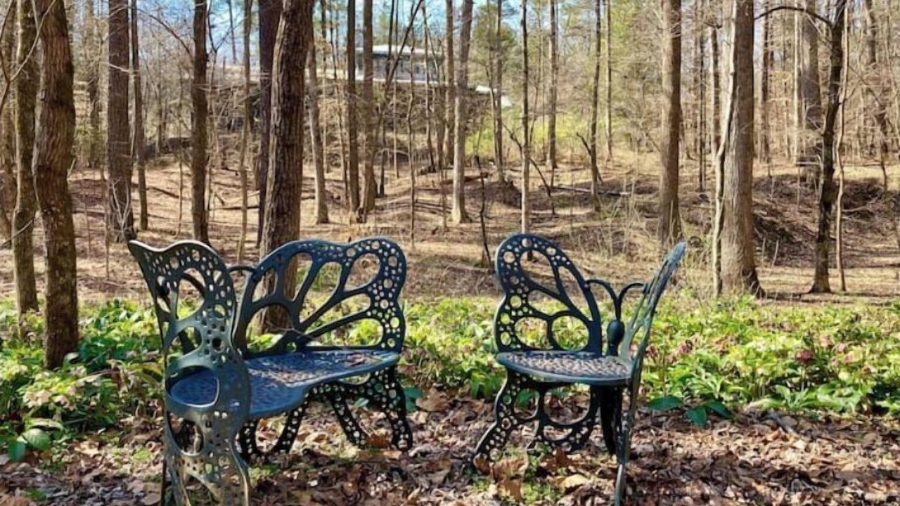 Photo of Outdoor in Bynum