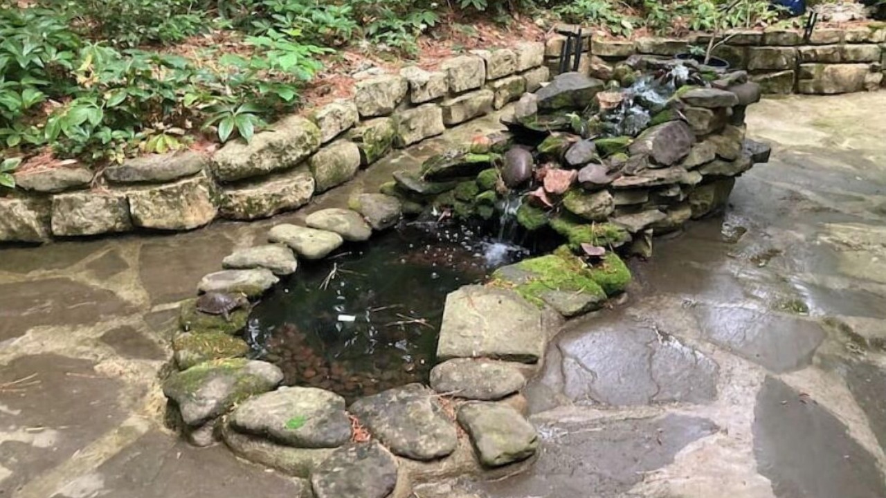 Photo of Outdoor in Bynum