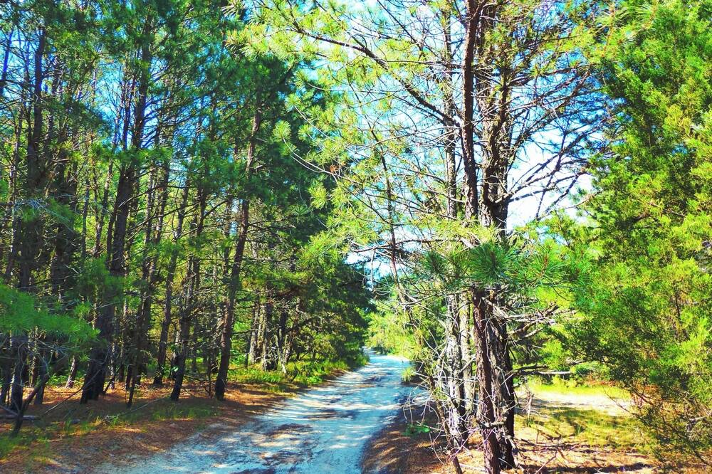 Photo of Outdoor in Williamstown