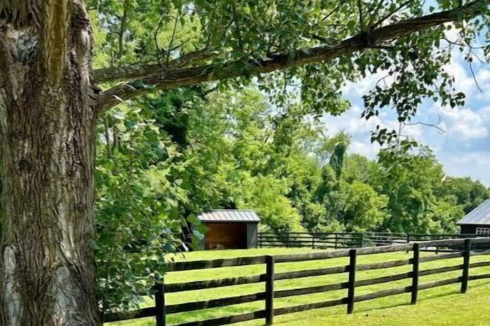 Photo of Outdoor in The Plains