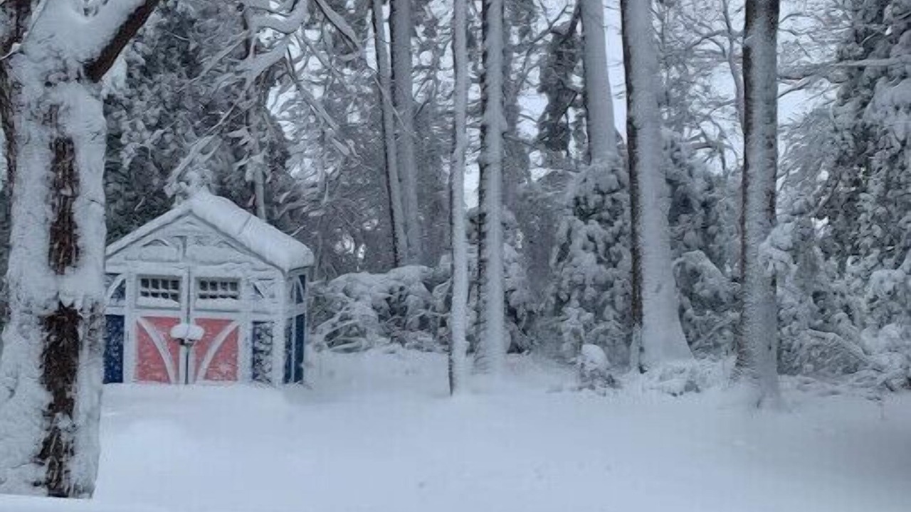 Photo of Outdoor in Ocean Pines