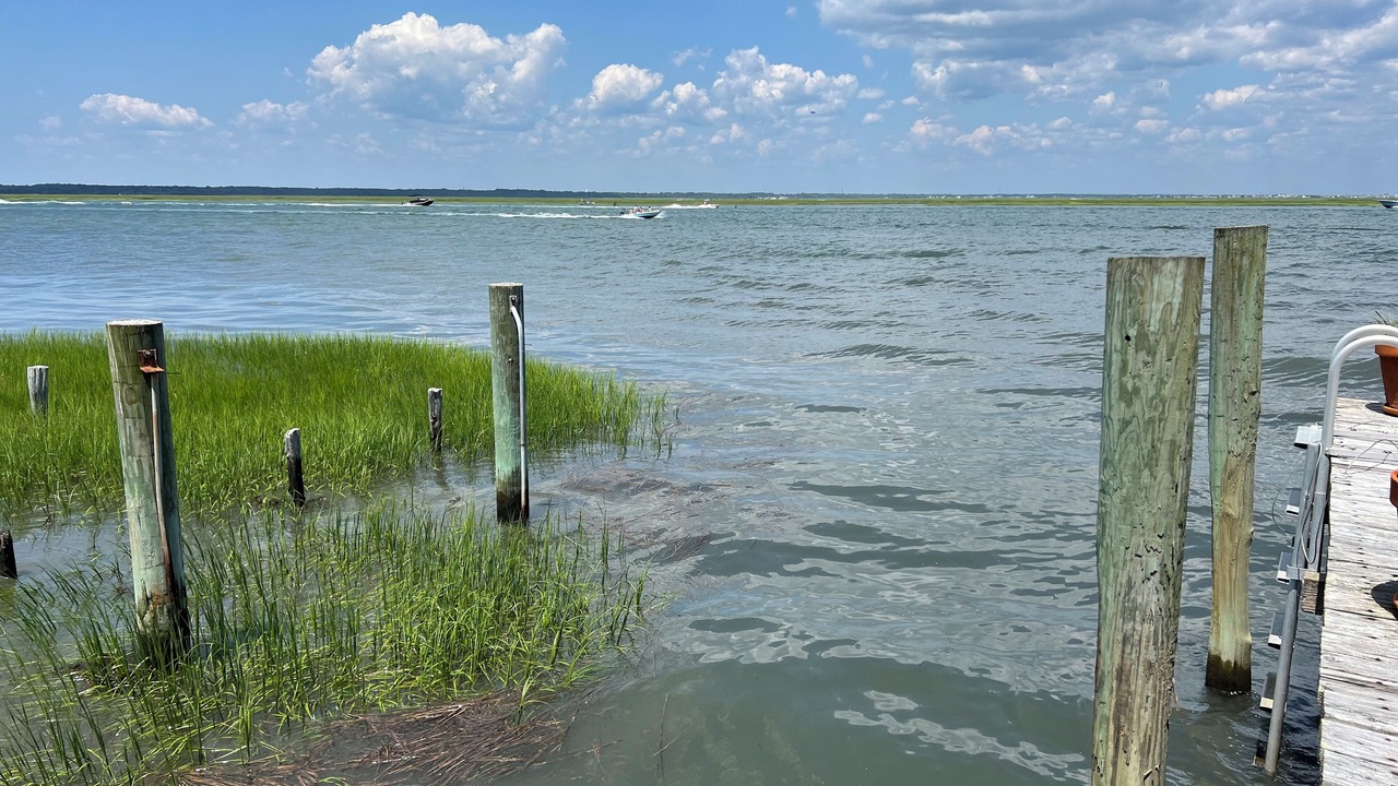 Photo of Others in North Wildwood