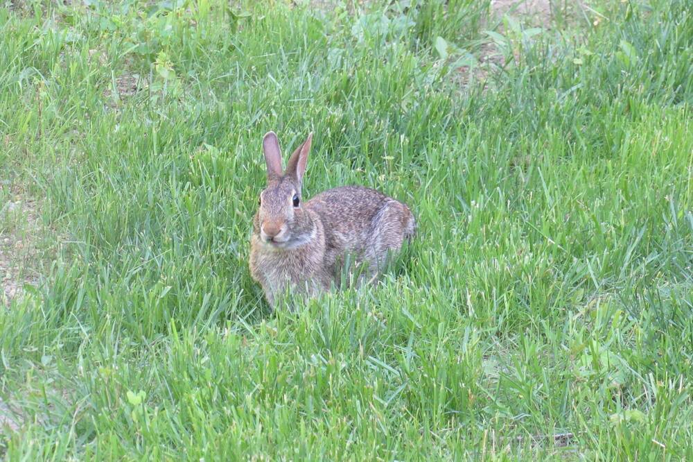 Photo of Others in Deerfield