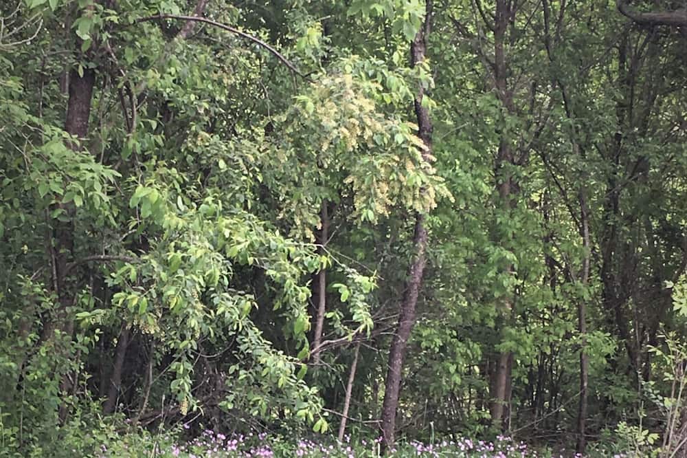 Photo of Others in Deerfield
