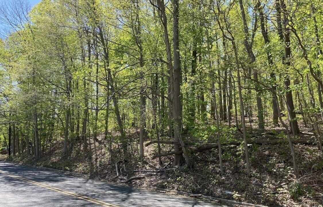 Photo of Outdoor in Navesink