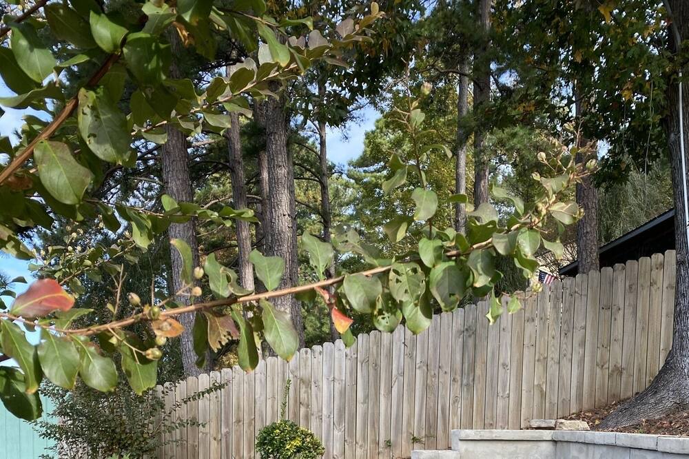 Photo of Outdoor in Leesburg