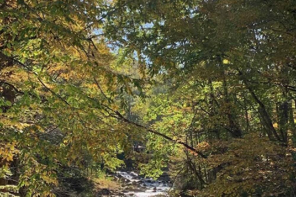Photo of Others in Mill Ridge