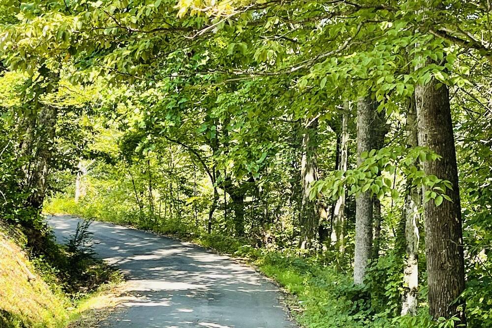 Photo of Outdoor in Caton
