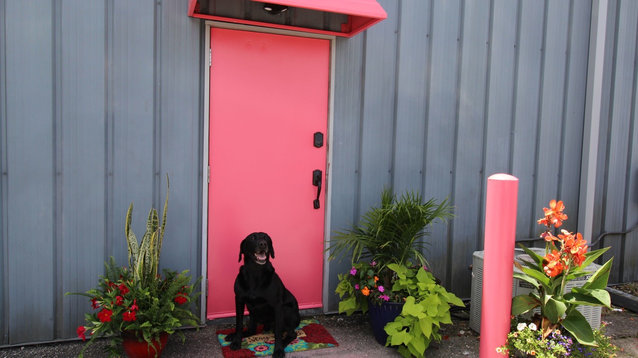 Photo of Outdoor in Wilmington