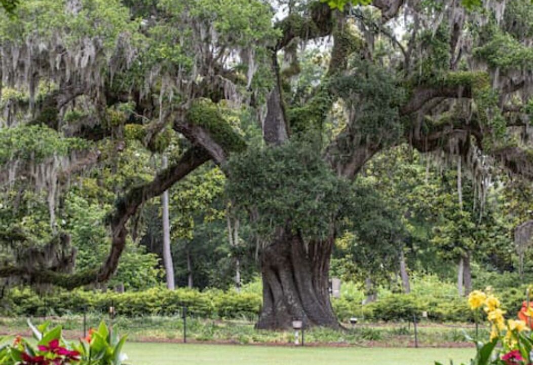Photo of Outdoor in Wilmington