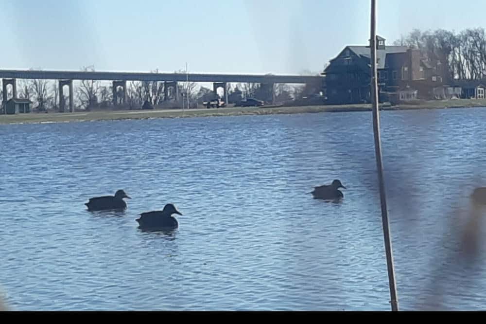 Photo of Others in Hancocks Bridge