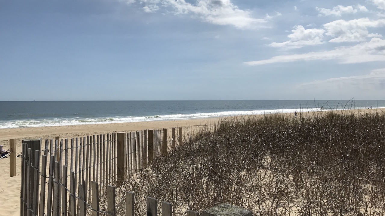 Photo of Others in Midtown Ocean City