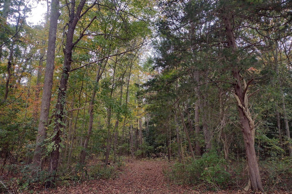 Photo of Outdoor in Goshen