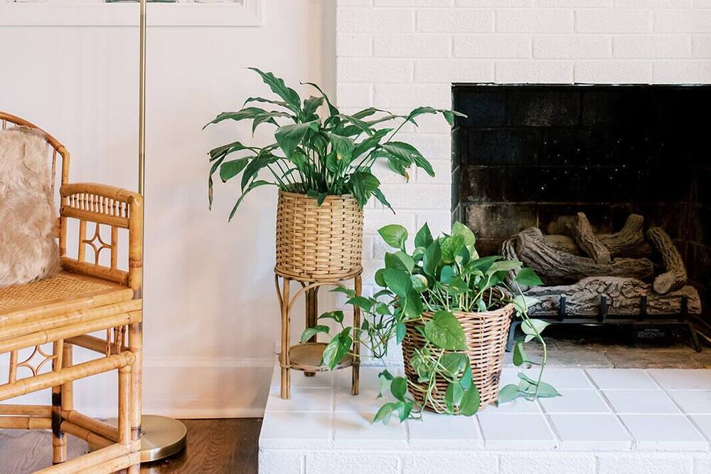 Photo of Livingroom in Vista Acres