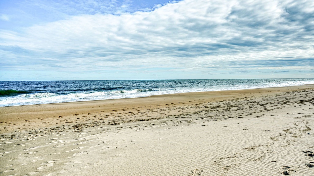 Photo of Others in North Ocean City