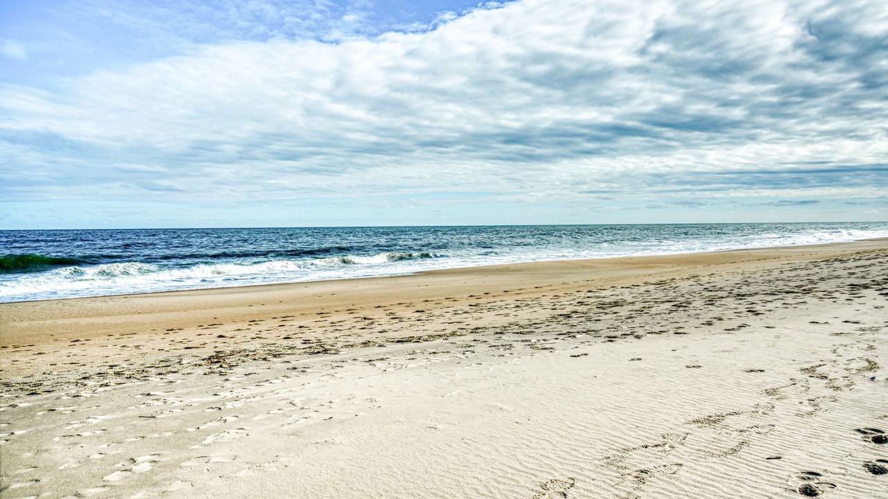 Photo of Others in North Ocean City