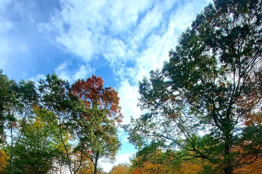 Photo of Outdoor in Mountain City