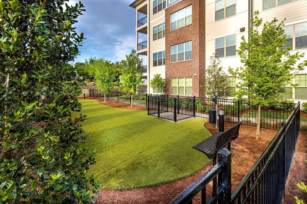 Photo of Outdoor in Town Center