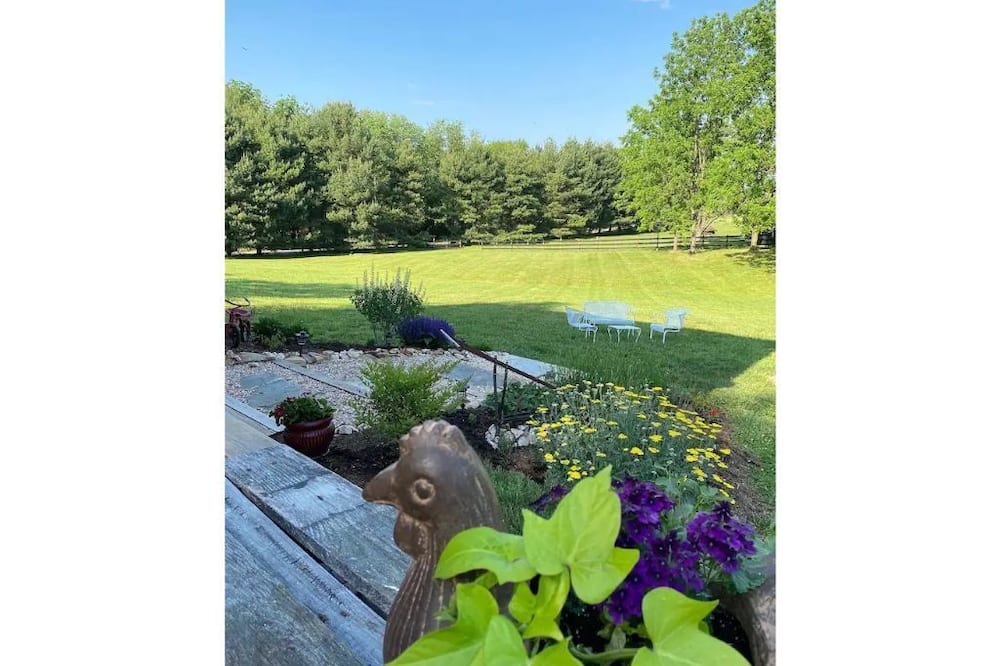Photo of Outdoor in Purcellville