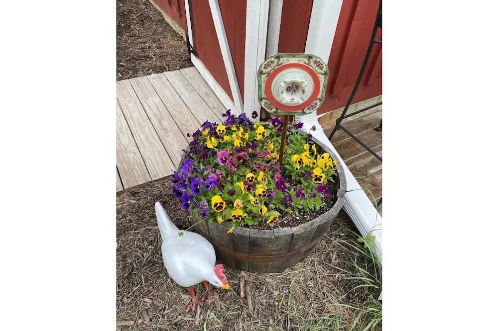 Photo of Outdoor in Purcellville