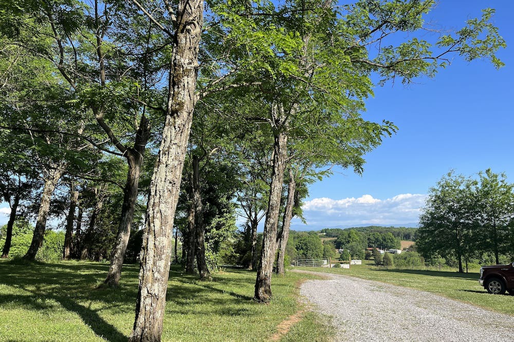 Photo of Outdoor in Madisonville