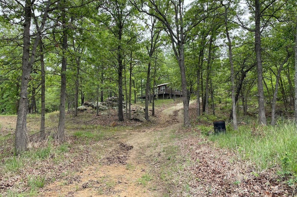 Photo of Outdoor in Bowring