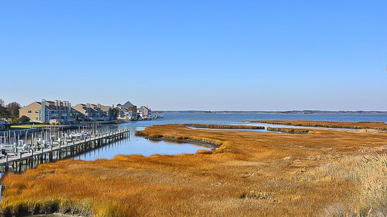 Photo of Others in North Ocean City