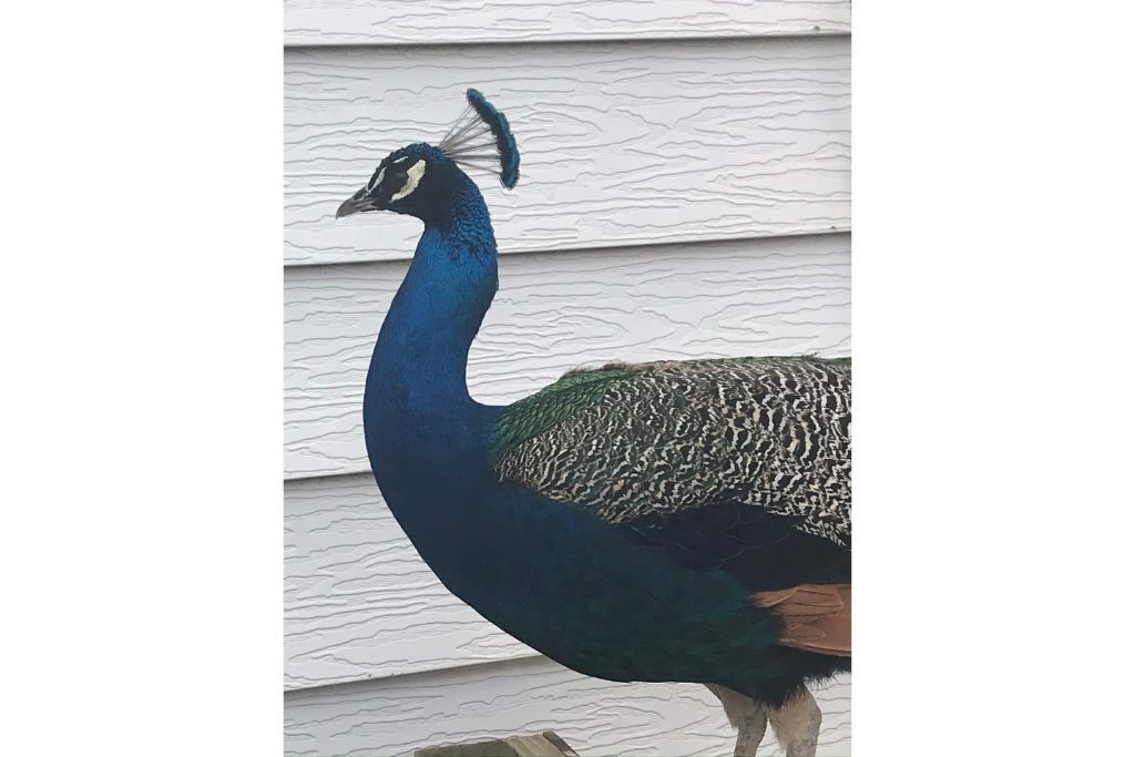 Photo of Others in Lafayette County